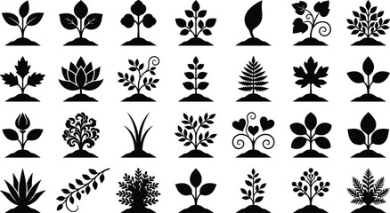 Fototapeta premium Plant and Floral Silhouette Icon Set with Garden Botanical Elements Collection
