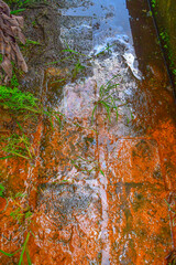 Obraz premium Natural iron-rich groundwater seep displaying orange ferric iron oxide staining and an iridescent microbial biofilm produced by iron-oxidizing bacteria (Gallionella spp., Leptothrix spp.) on laterite