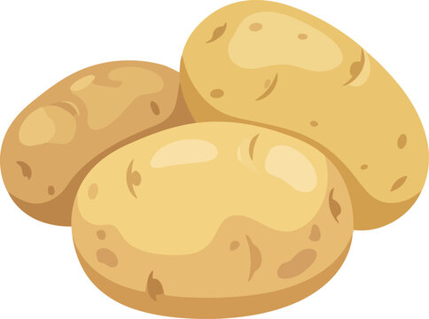 Fresh raw potatoes