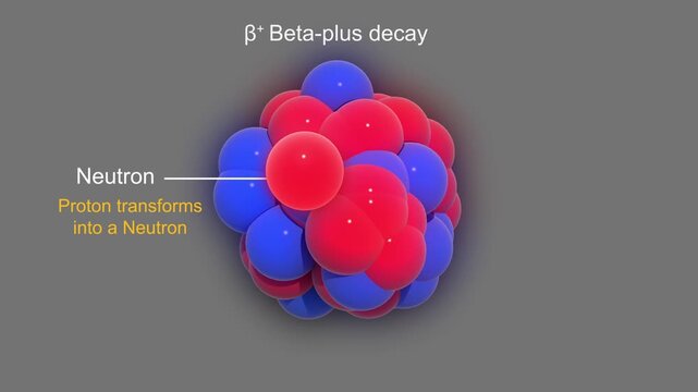 Beta Plus Decay &ndash; Proton Transforms into Neutron with Positron Emission 3D Animation