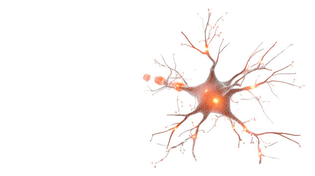Glowing three dimensional neuron nerve cell with branching dendrites and synapses illustrating human brain science and neurology medical research on white background