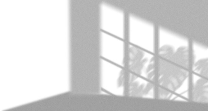 Natural sunlight shadow of a window frame and tropical houseplant leaves cast on a concrete wall and floor corner