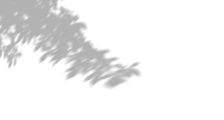 Obraz premium Natural leaf shadow overlay on a smooth surface for creative design projects and digital composition photography