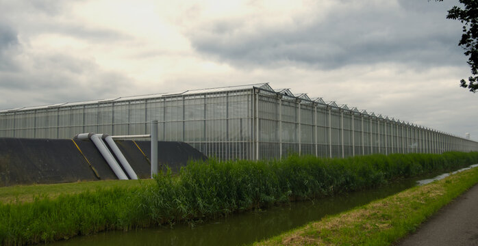 Large glasshouse facility for intensive agriculture, featuring extensive rows of crops grown in a controlled environment