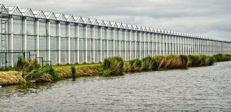 Long greenhouse facility stretching alongside a canal, showcasing modern intensive farming and horticulture business
