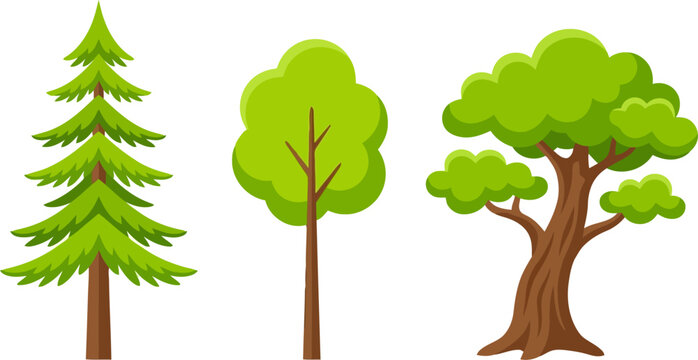 Set of three various cartoon trees including pine and deciduous trees isolated on white background
