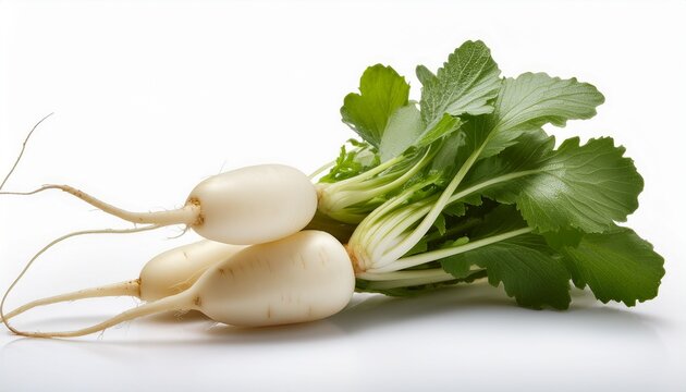 White Radish On White Background