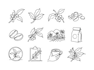 Obraz premium Specialty Coffee Plant, one-line drawing set, create 12 minimal continuous single-line icons in a 4x3 layout showing coffee bean branch, specialty coffee leaf, berry plant, raw coffee, roasted bean,