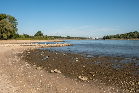 Ausgetrocknete Uferzone am Rhein bei Niedrigwasser in K&ouml;ln, K&ouml;ln, Nordrhein-Westfalen, Deutschland