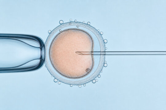 Micropipette Injection Into Human Egg Cell