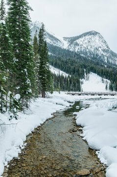 Emerald River at Emerald Lake, a shallow stream feeding into the lake, snowy mountain scenery.