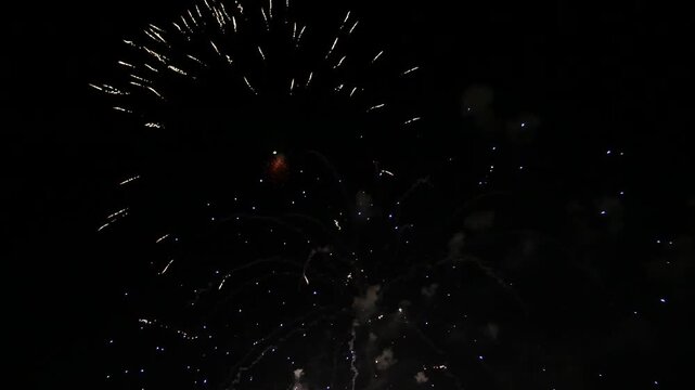 Firework display in park