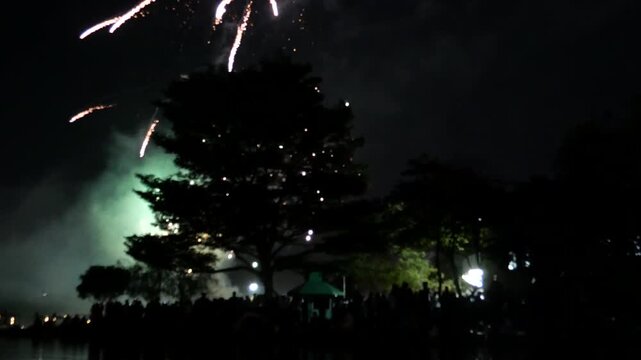 Firework display in park