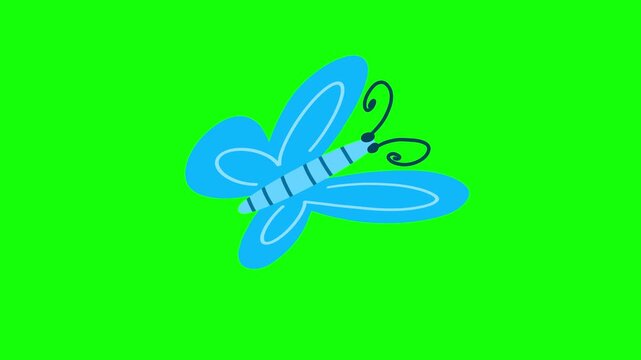 4K motion graphics animation of flying butterfly  on chroma key green screen background.