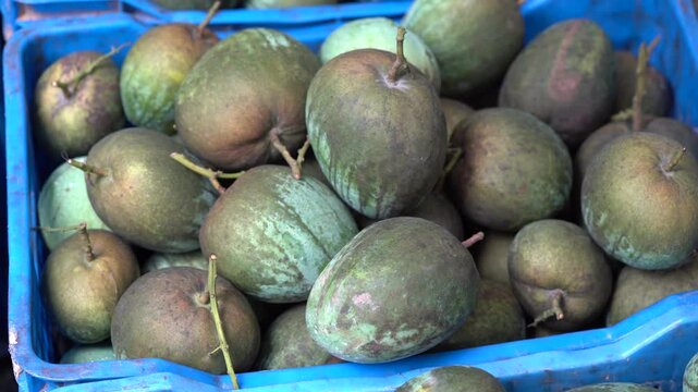 Fresh harvested velvet apples in a market crate