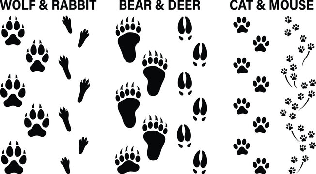 Black animal footprints silhouettes set including wolf, rabbit, bear, deer, cat, and mouse tracks