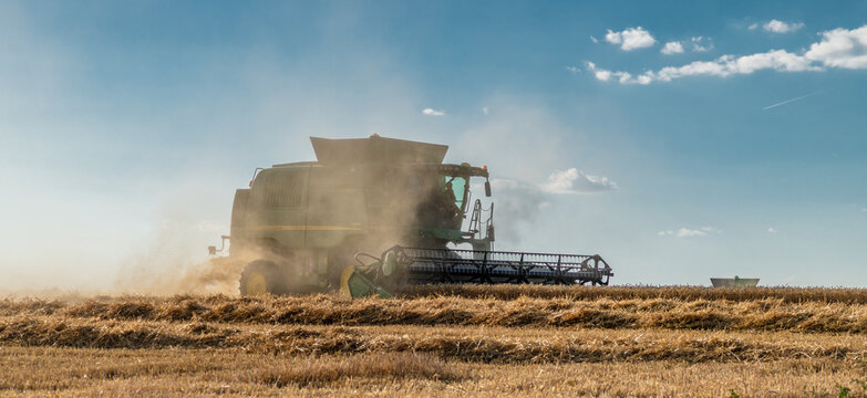 Summer hot evening harvest field grain south Bohemia near Dacice CZ 07 24 2026