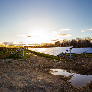 A solar farm, rows of photovoltaic panels in fields.