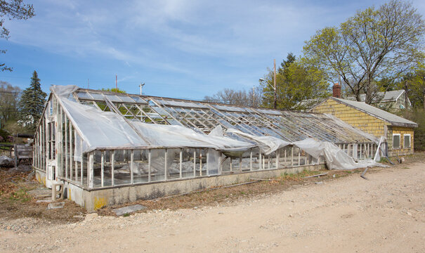 A derelict farmhouse and outbuildings, a glasshouse shrouded with ripped plastic sheeting, the property demolished in 2015.