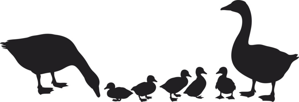 Goose family silhouette collection, adult geese with goslings isolated on white background vector illustration set