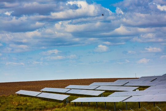 Solar farm, a field full of solar panels on a hillside.