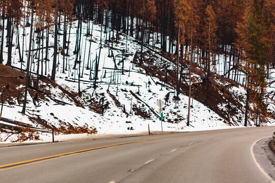Winter on Highway 97 over Blewett Pass, a bend in the road and snow on the ground.