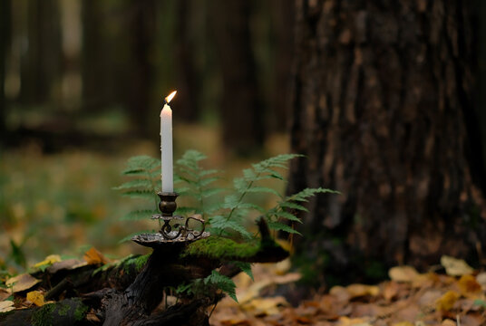 candlestick with burning magic wax candle in autumn forest, dark abstract nature background. mystery fairy tale scene. witchcraft, magic ritual. Fall season. Samhain, Halloween holidays concept