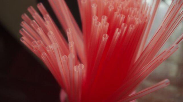 Macro Close Up View of Hand Placing Red Plastic Drinking Straws into Holder