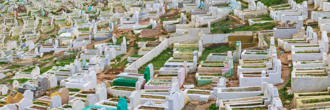 Moslem Cemetery near the Marinid Tombs, above ground tombs painted in white and green.
