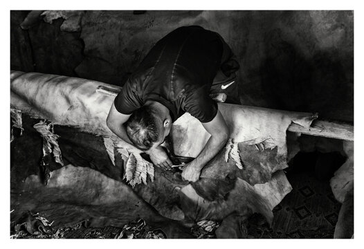 A man working on an animal hide preparing and stripping it for dyeing.