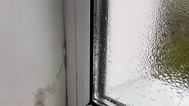 Condensation on window with black mold on frame in damp home. 4k