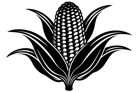 Maize Corn Stalk with Ripe Cob and Husks Black Silhouette Vector Icon Isolated on White Background