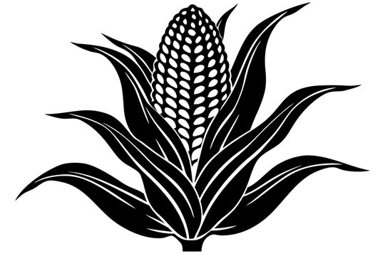 Maize Corn Stalk with Ripe Cob and Husks Black Silhouette Vector Icon Isolated on White Background