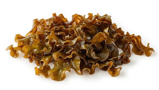 Undaria pinnatifida, a type of edible brown seaweed, on a white backdrop.