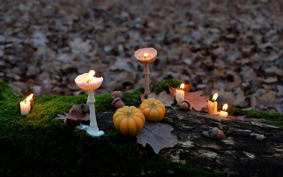 decorative pumpkins and mushroom-shaped candles on tree trunk, dark autumn forest nature background. Wax craft decor. Magic Ritual with burning candles. Witchcraft, spiritual esoteric ceremony