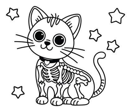 Dibujo para colorear de un lindo esqueleto de gato de dibujos animados con estrellas