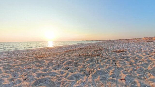 Seagull on the beach at golden hour, Mari Ermi, Sinis Peninsula, Sardinia, Italy