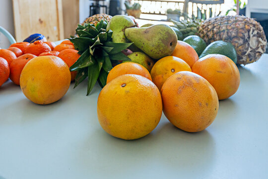 Bright Citrus, Pears, and Pineapples Piled on a Countertop Near a Sunlit Balcony