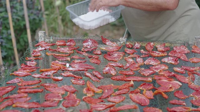Hands Sprinkling Salt on Sun-Dried Tomatoes for Traditional Food Preservation - Tomato Series n&deg;2  [180&deg; shutter angle Sony G from ProRes 442 25p 10 bit S-Log3]