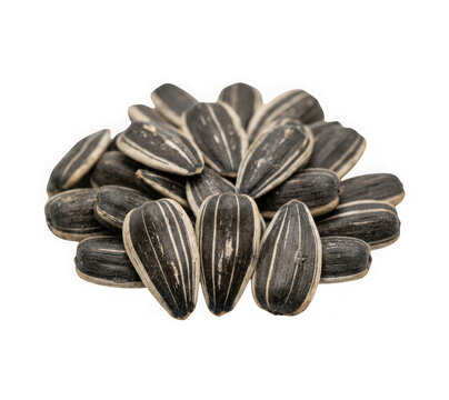 A pile of raw sunflower seeds in the shell isolated on transparent background