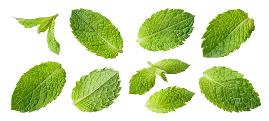 Set of fresh mint leaves, isolated on transparent cutout background © Yeti Studio
