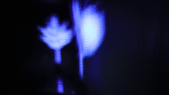 Blue abstract shapes with flower motifs on a black background