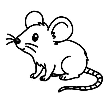 Cute Mouse Hand Drawn Doodle Vector Illustration
