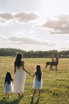 Mother with two daughters watching red deer stags in field at sunset