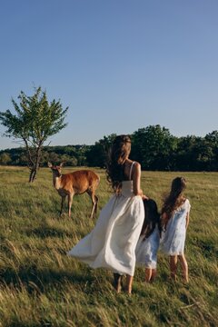 Mother with two daughters walking towards deer in green meadow at sunset