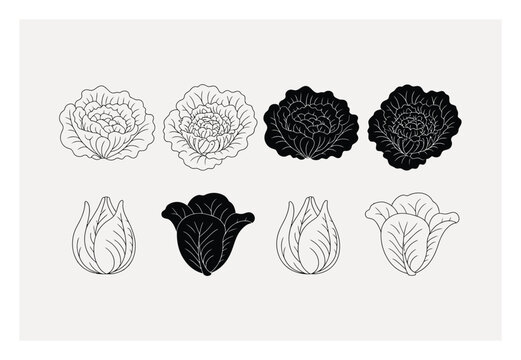 Conjunto de repollo y lechuga dibujados a mano en blanco y negro