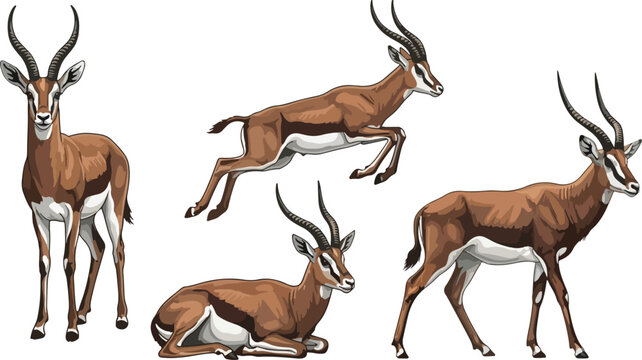 vector illustration clipart of antelope with 4 poses semi realistic art style
