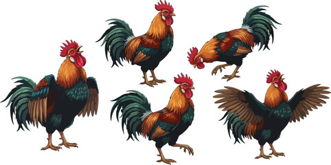 vector illustration clipart of rooster with 5 poses semi realistic art style © weng