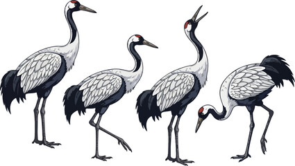 Obraz premium vector illustration clipart of stork with 4 poses semi realistic art style 02
