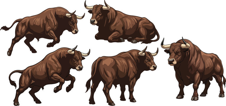 vector illustration clipart of bull with 5 poses semi realistic art style